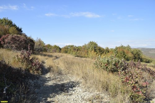 Перспективная ООПТ Русовы поляны